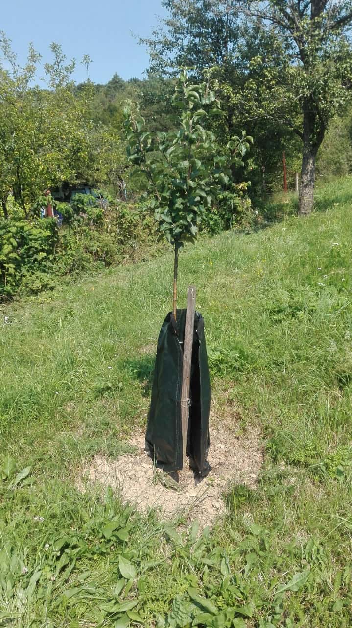 vodné vaky pre stromy, záhradník Košice