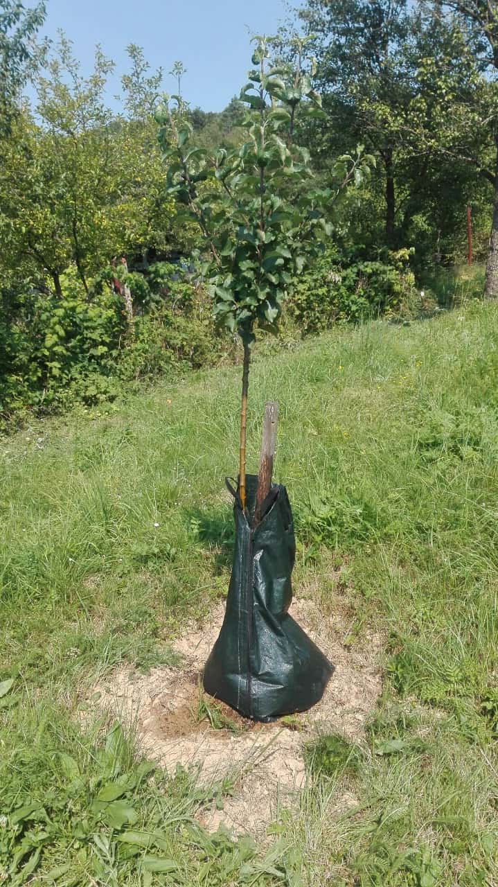vodné vaky pre stromy, záhradník Košice